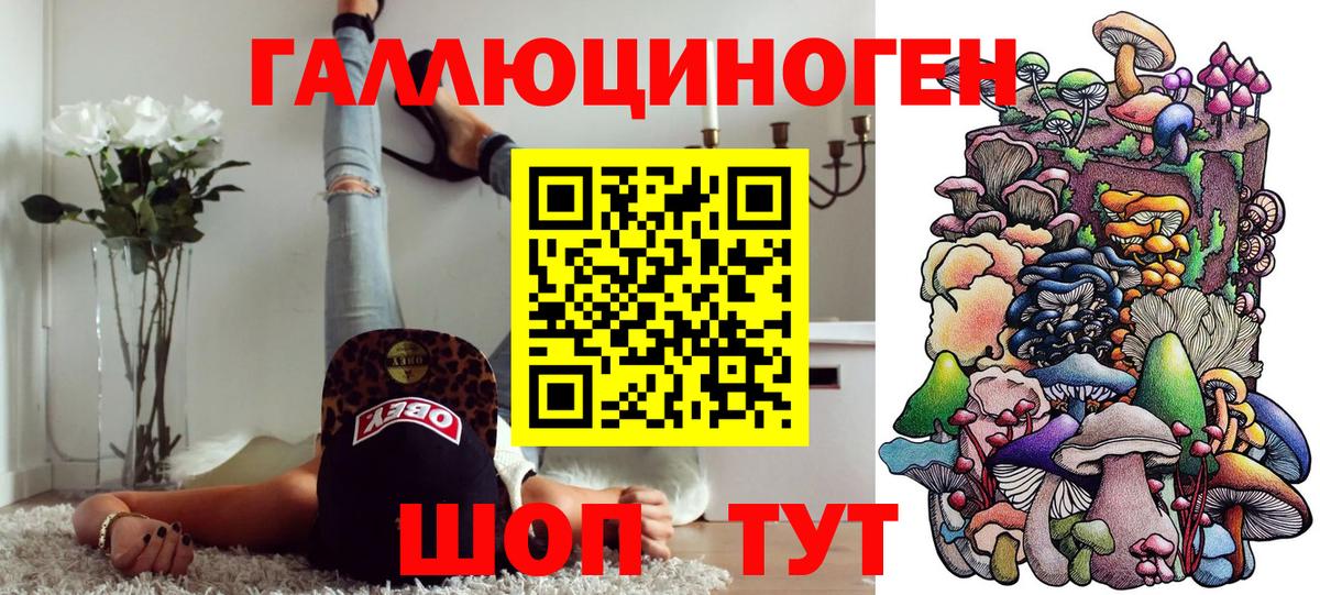 Псилоцибиновые грибы Cubensis Нововоронеж