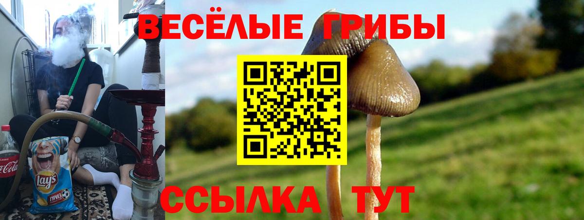 Нововоронеж  Псилоцибиновые грибы мицелий  Вход с VPN 